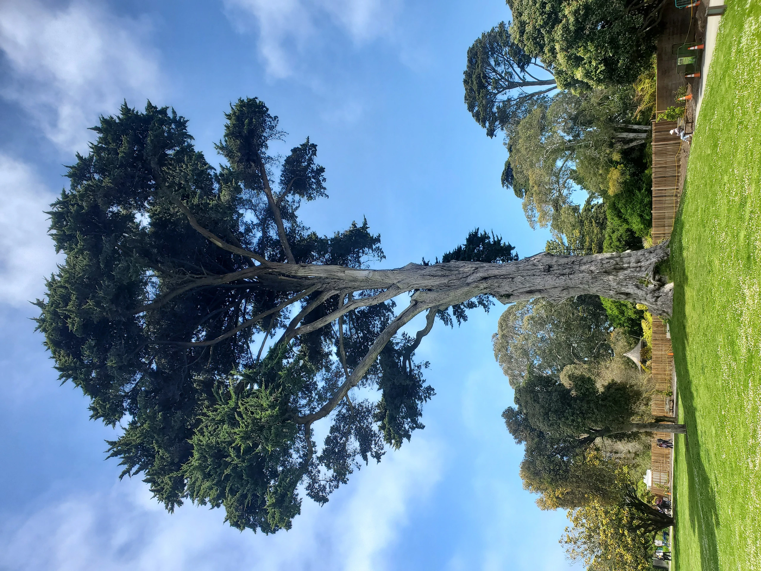 SF Gardens